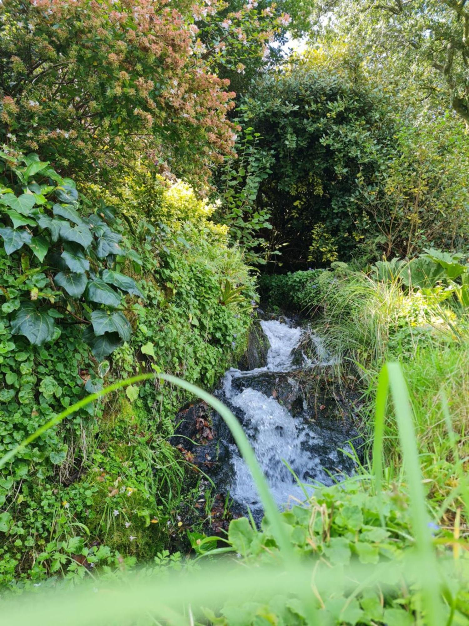 Moulin De Bonnescat Vila Plogonnec Exterior foto